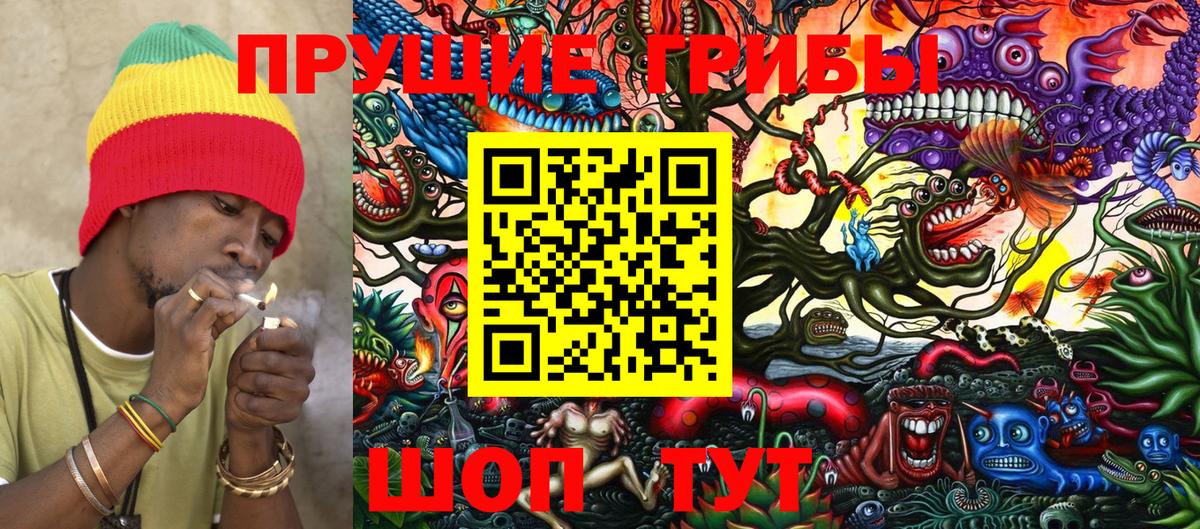 Сосновый Бор  Галлюциногенные грибы MAGIC MUSHROOMS  Вход с VPN 